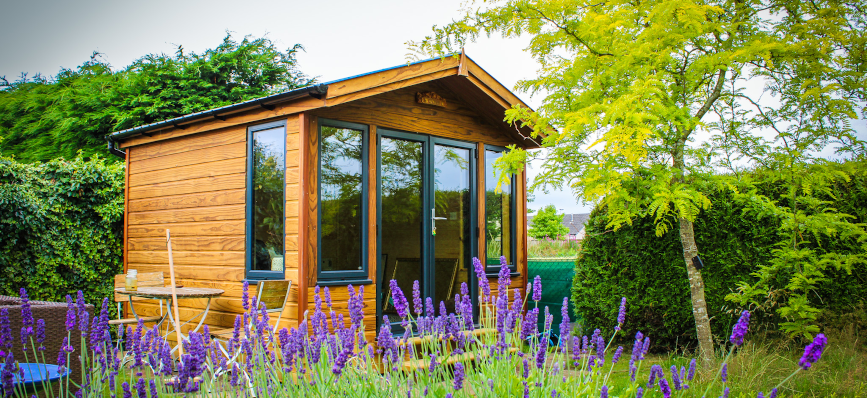 a shot of a wooden shed, in a garden with grass and purple flowers
