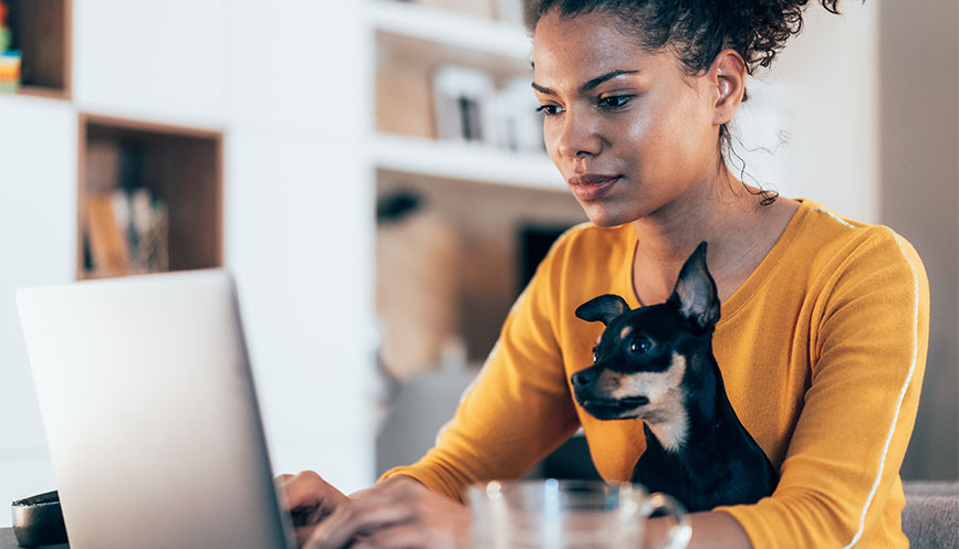 Someone with their dog on their lap looking at a laptop