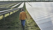 Woman walking in a field of solar panels