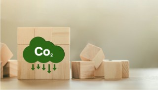 Building blocks with a green cloud on with the writing Co2
