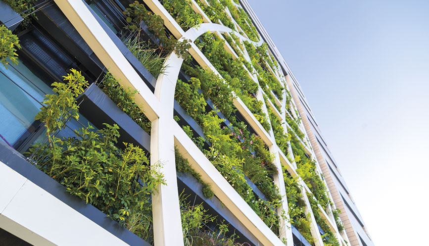nw-group-photo-living-wall-867x497.jpg