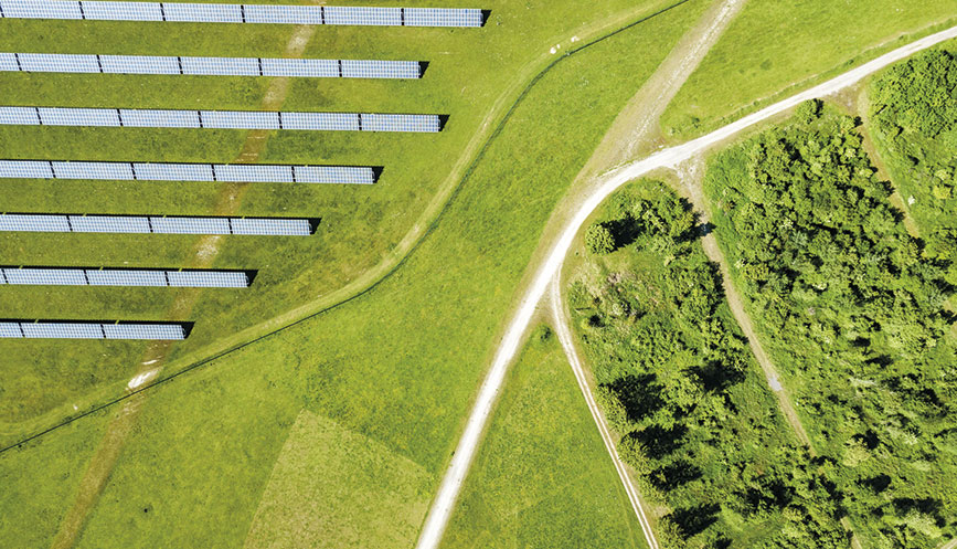 nw-group-sustainability-field-nature_867x497px.jpg