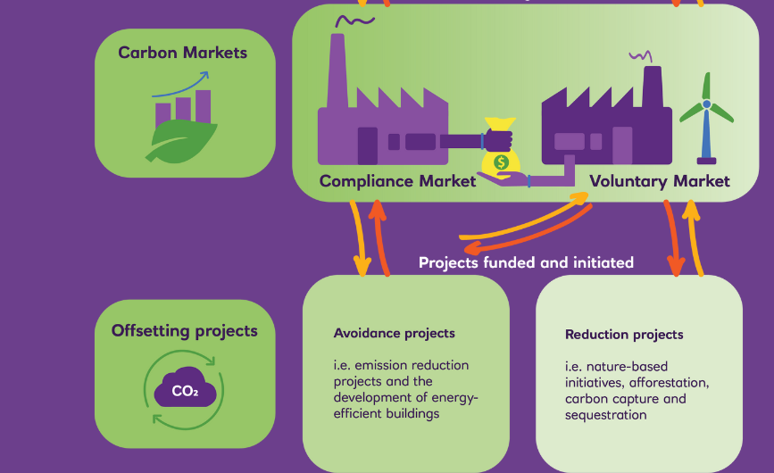 Graphic showing carbon credits journey