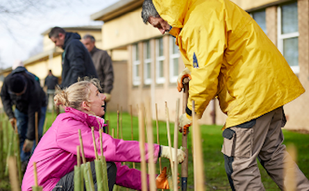 a man and woman planting a tree