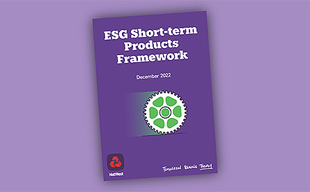 Front cover of the ESG Short-term Products Framework